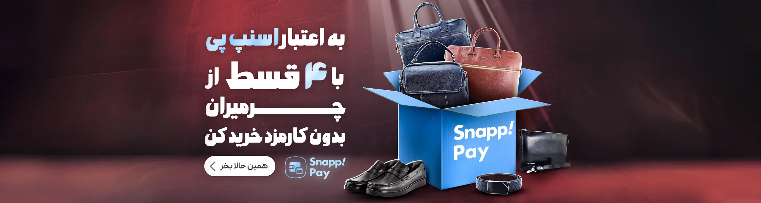 banner 6 sesk result scaled